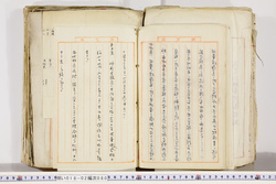 明い018020800006.jpg