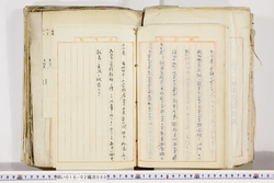 明い018020800007.jpg