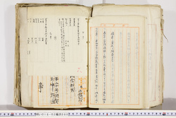 明い018020800008.jpg