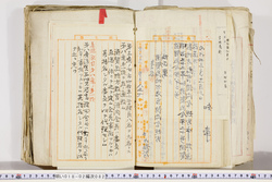 明い018020820002.jpg
