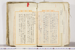 明い018020830003.jpg