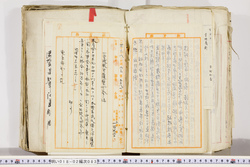 明い018020830004.jpg