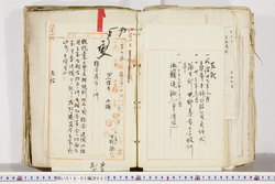 明い018020830006.jpg