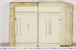 明い018030000003.jpg