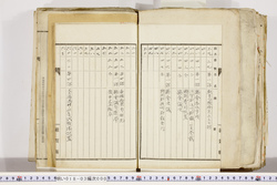 明い018030000004.jpg