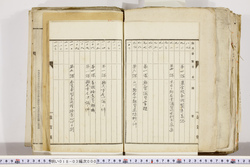 明い018030000006.jpg