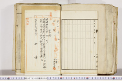 明い018030000011.jpg