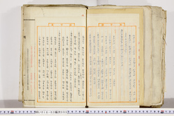 明い018030050005.jpg