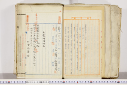 明い018030050007.jpg