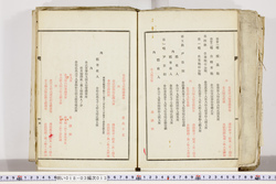 明い018030130005.jpg