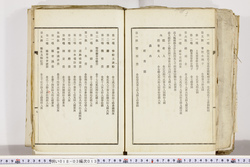 明い018030130008.jpg
