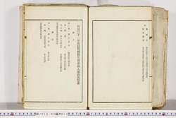 明い018030130013.jpg