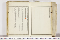 明い018030130017.jpg