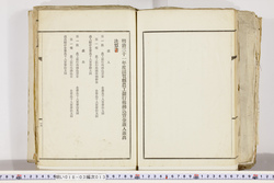 明い018030130018.jpg