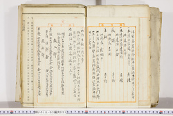 明い018030310005.jpg