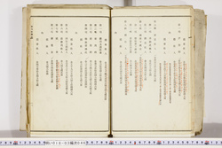 明い018030460005.jpg