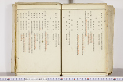 明い018030460006.jpg