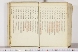 明い018030460008.jpg