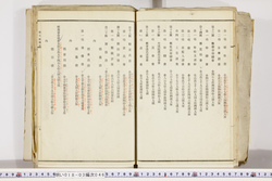 明い018030460009.jpg