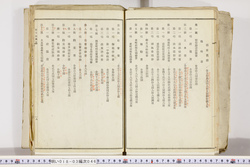 明い018030460010.jpg