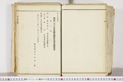 明い018030460012.jpg