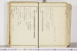 明い018030460013.jpg