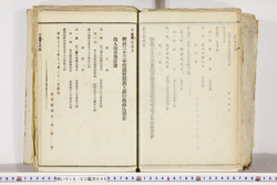 明い018030460014.jpg