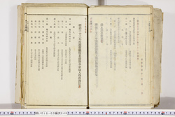 明い018030460015.jpg