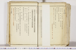 明い018030460016.jpg