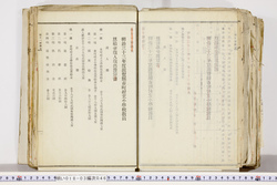 明い018030460019.jpg
