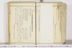 明い018030460020.jpg