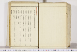 明い018030460021.jpg