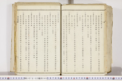 明い018030460022.jpg
