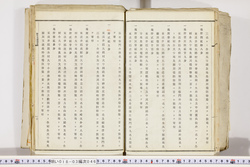 明い018030460023.jpg