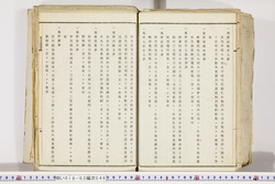 明い018030460024.jpg