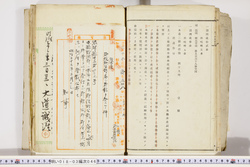 明い018030460028.jpg