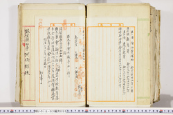 明い018030550004.jpg