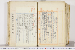 明い018030710002.jpg