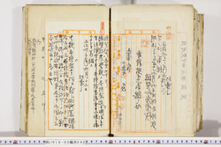 明い018030900002.jpg