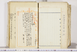 明い018030900004.jpg