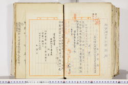 明い018030960002.jpg