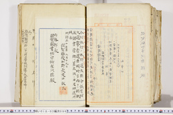 明い018030960003.jpg