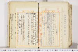 明い018031040002.jpg
