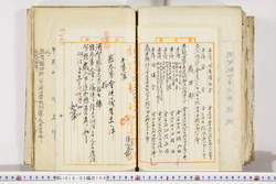 明い018031040003.jpg