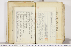 明い018031060008.jpg
