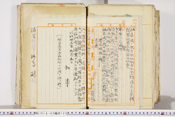 明い018031290002.jpg