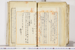 明い018031320002.jpg