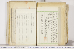 明い018031320004.jpg