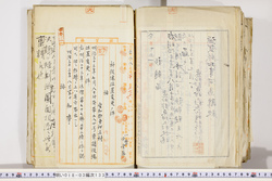 明い018031330003.jpg