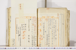 明い018031330006.jpg